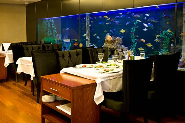 Aquarium as a feature in a modern restaurant